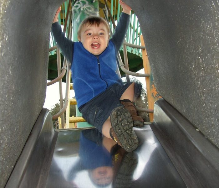 Stephens- Sarlós Program